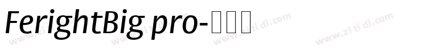 FerightBig pro字体转换
